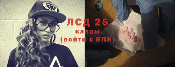 шишки Дмитриев