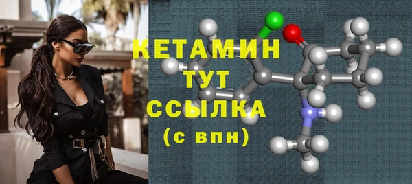 шишки Дмитриев